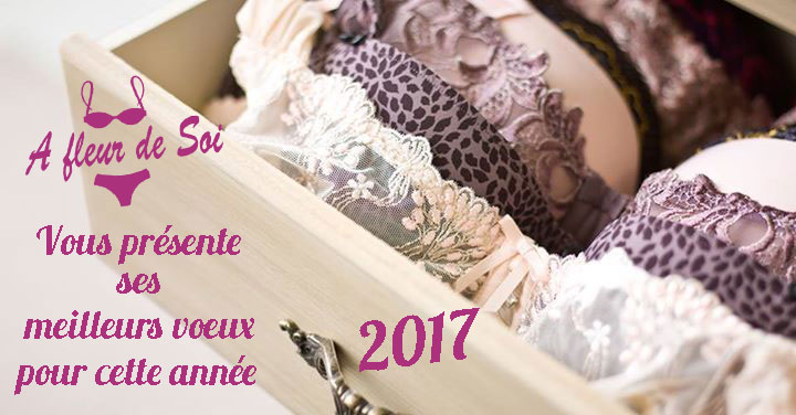 Vœux 2017